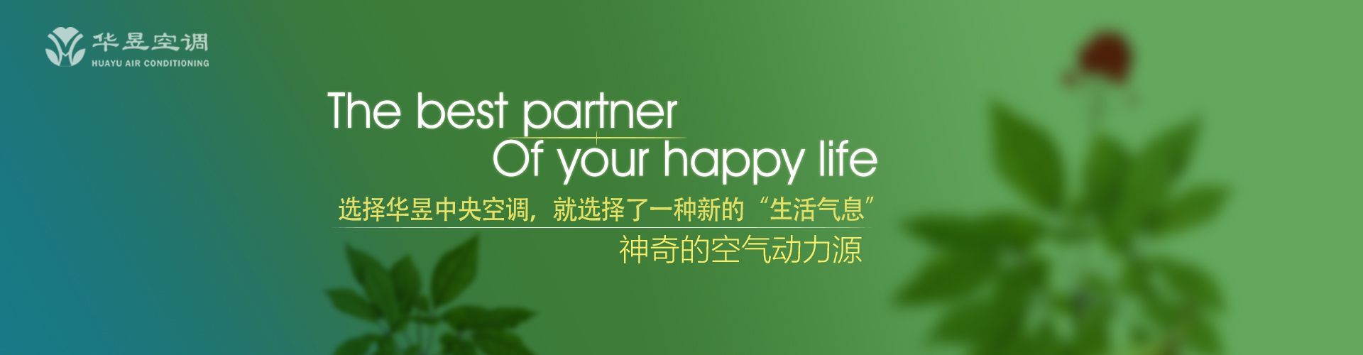 百年好事网